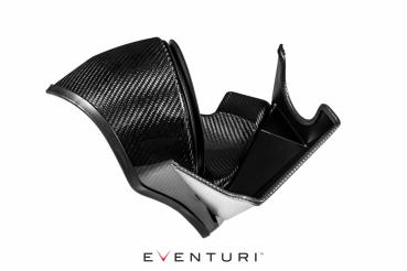 Eventuri Carbon Upgrade Duct für N55 Intake